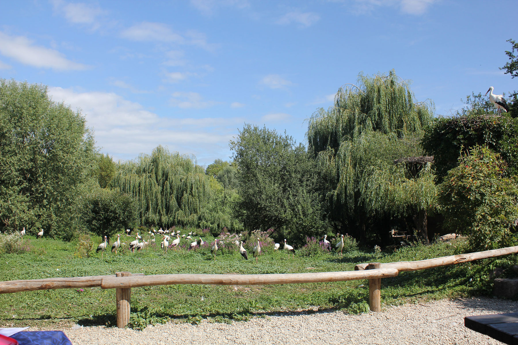 NaturOparC (eg Reintroduction Center), Hunawihr